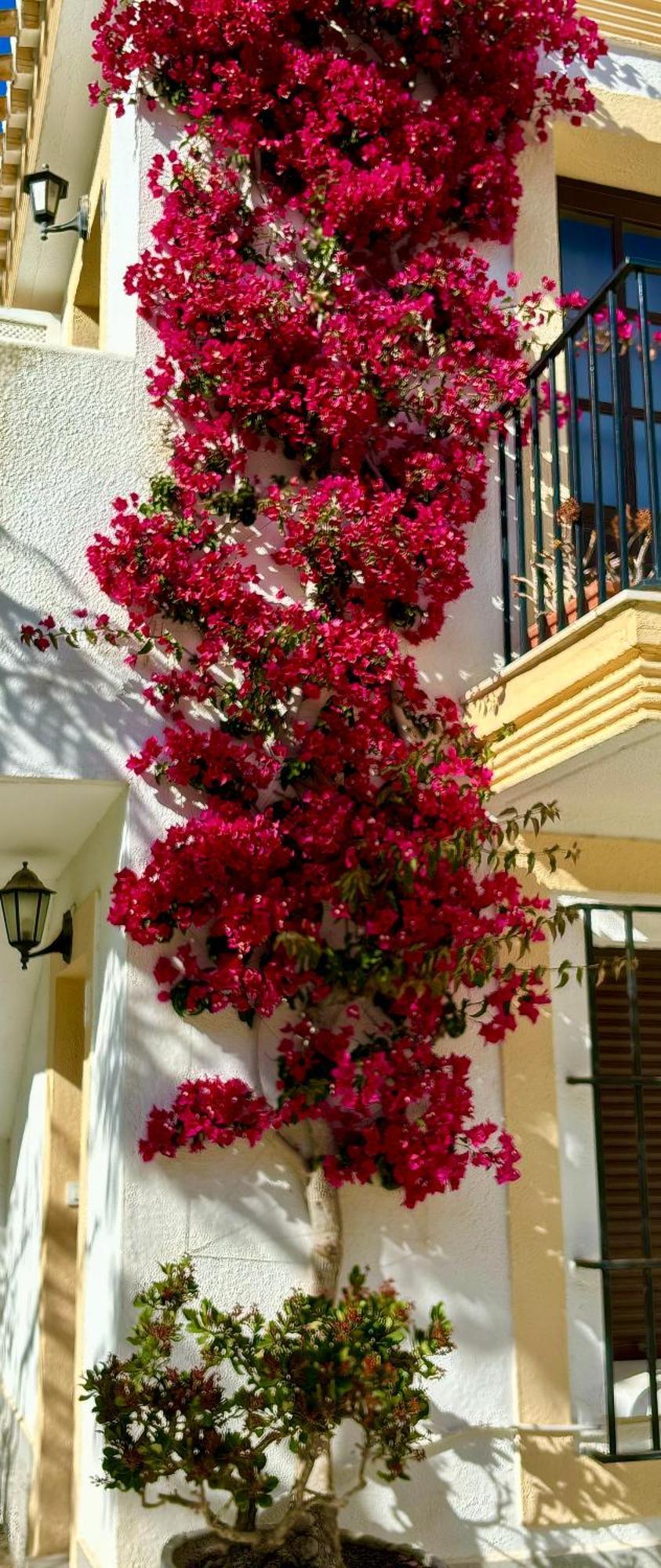 Casa Veranera Vera Costa Playas de Vera 외부 사진