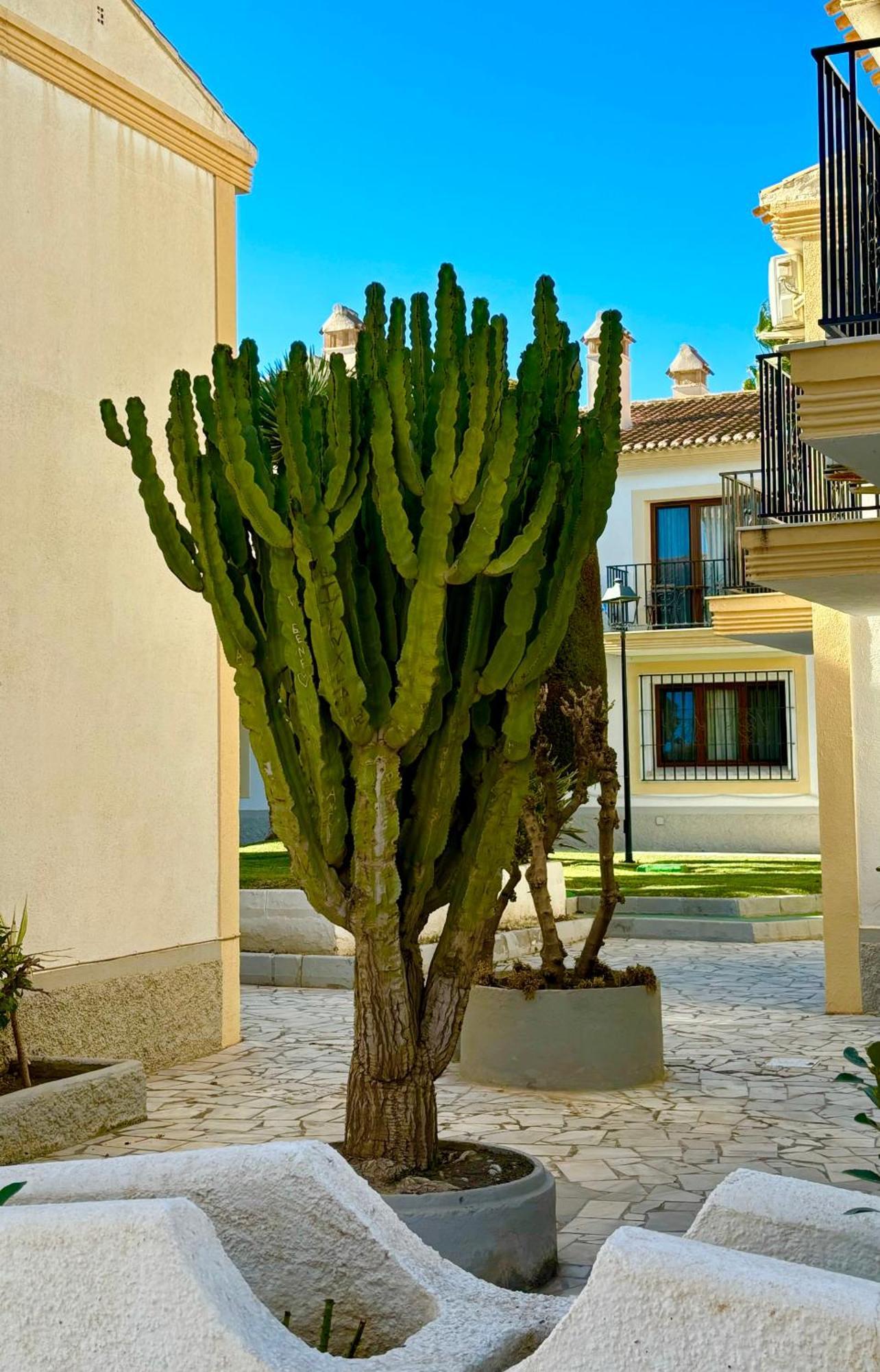 Casa Veranera Vera Costa Playas de Vera 외부 사진